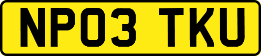 NP03TKU