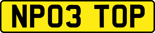 NP03TOP