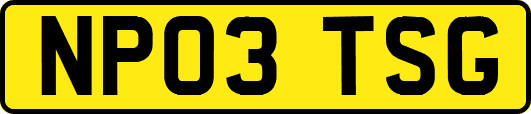 NP03TSG