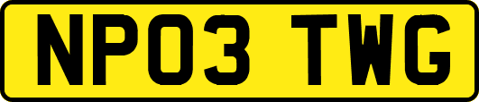 NP03TWG