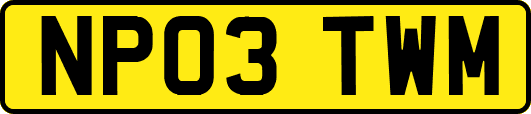 NP03TWM