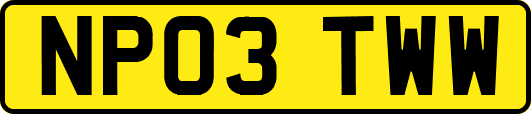 NP03TWW