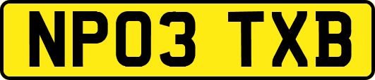 NP03TXB