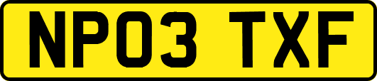 NP03TXF