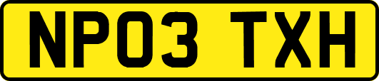 NP03TXH