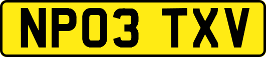NP03TXV