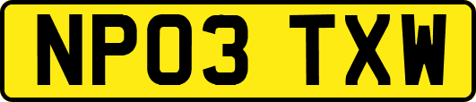 NP03TXW