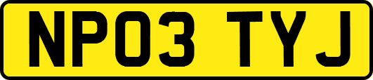 NP03TYJ