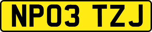 NP03TZJ
