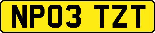 NP03TZT