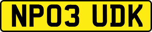 NP03UDK