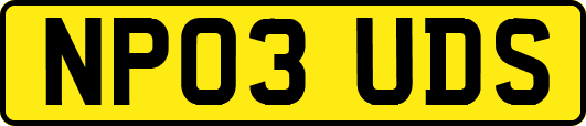 NP03UDS