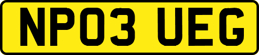 NP03UEG