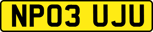 NP03UJU