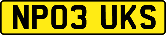 NP03UKS