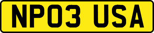 NP03USA