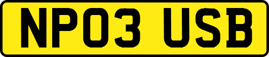 NP03USB