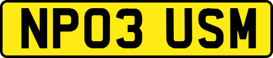 NP03USM