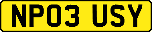 NP03USY