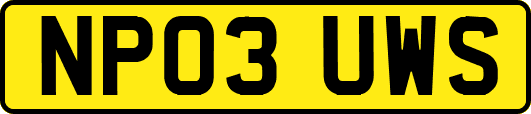 NP03UWS