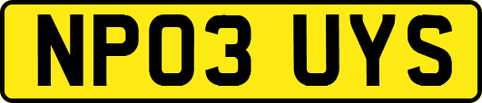NP03UYS