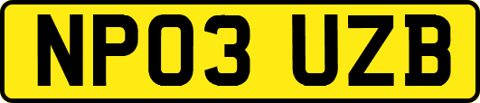 NP03UZB