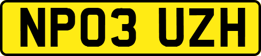 NP03UZH