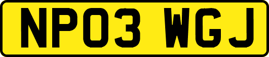 NP03WGJ