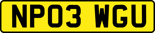 NP03WGU