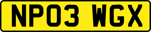 NP03WGX