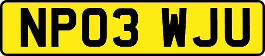 NP03WJU