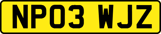 NP03WJZ