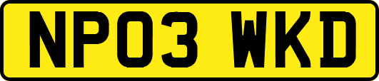 NP03WKD