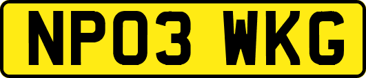 NP03WKG