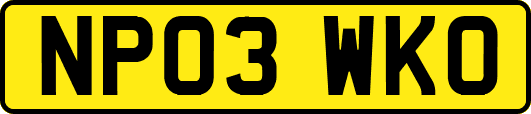 NP03WKO