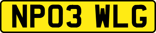 NP03WLG