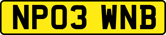 NP03WNB