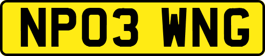 NP03WNG