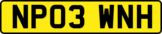 NP03WNH