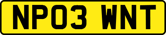 NP03WNT