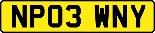 NP03WNY