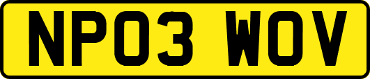 NP03WOV