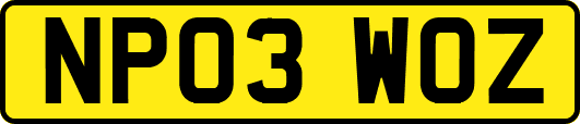 NP03WOZ