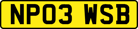 NP03WSB