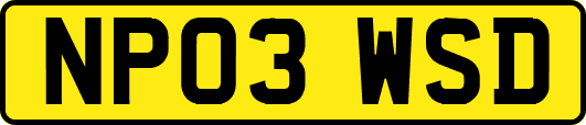NP03WSD