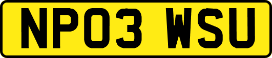 NP03WSU
