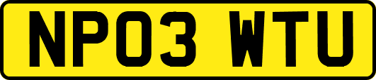NP03WTU