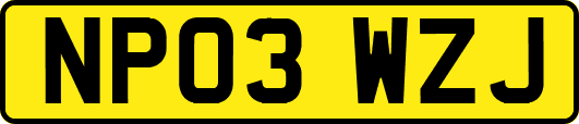 NP03WZJ