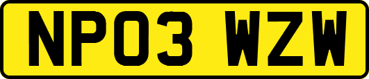 NP03WZW