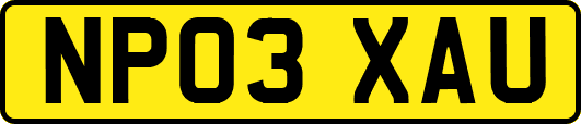 NP03XAU